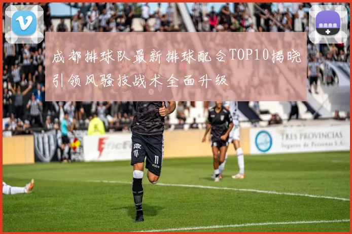 成都排球队最新排球配合TOP10揭晓引领风骚技战术全面升级
