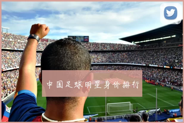 中国足球明星身价排行