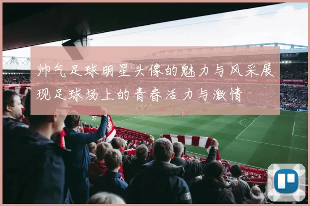 帅气足球明星头像的魅力与风采展现足球场上的青春活力与激情