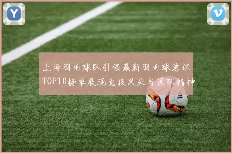 上海羽毛球队引领最新羽毛球意识TOP10榜单展现竞技风采与团队精神