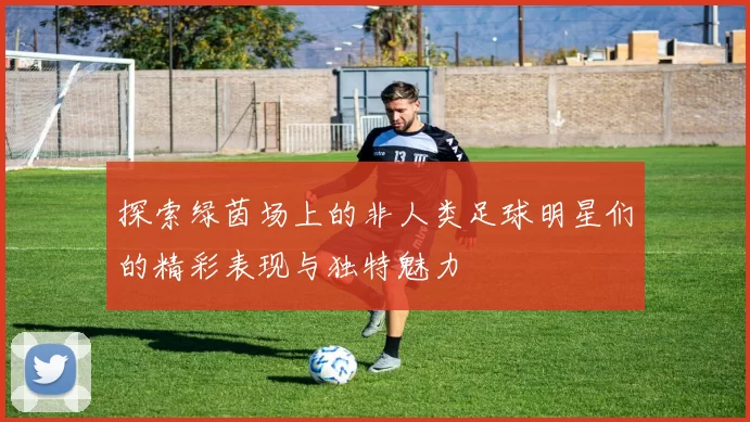 探索绿茵场上的非人类足球明星们的精彩表现与独特魅力