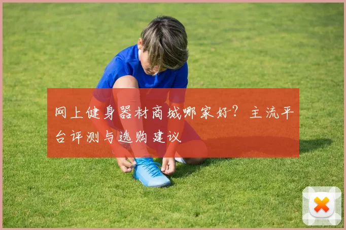 网上健身器材商城哪家好？主流平台评测与选购建议
