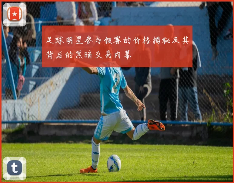足球明星参与假赛的价格揭秘及其背后的黑暗交易内幕