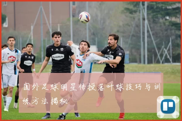国外足球明星传授落叶球技巧与训练方法揭秘