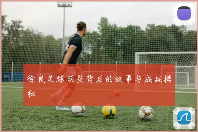 徐良足球明星背后的故事与成就揭秘