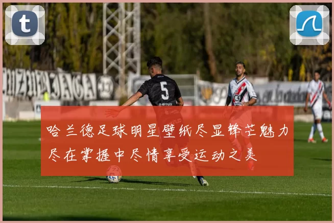 哈兰德足球明星壁纸尽显锋芒魅力尽在掌握中尽情享受运动之美
