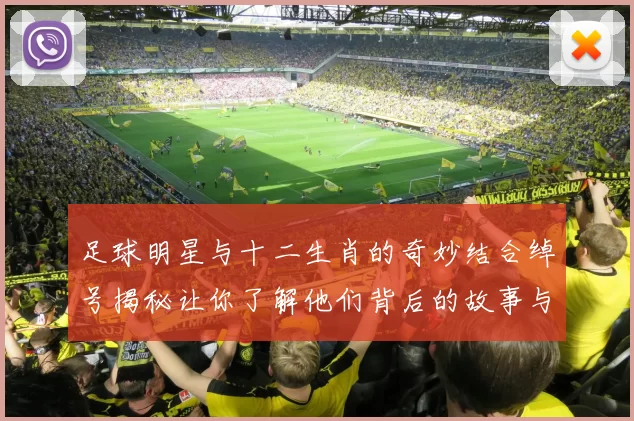 足球明星与十二生肖的奇妙结合绰号揭秘让你了解他们背后的故事与个性