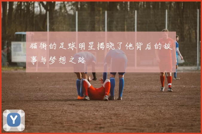 猫街的足球明星揭晓了他背后的故事与梦想之路