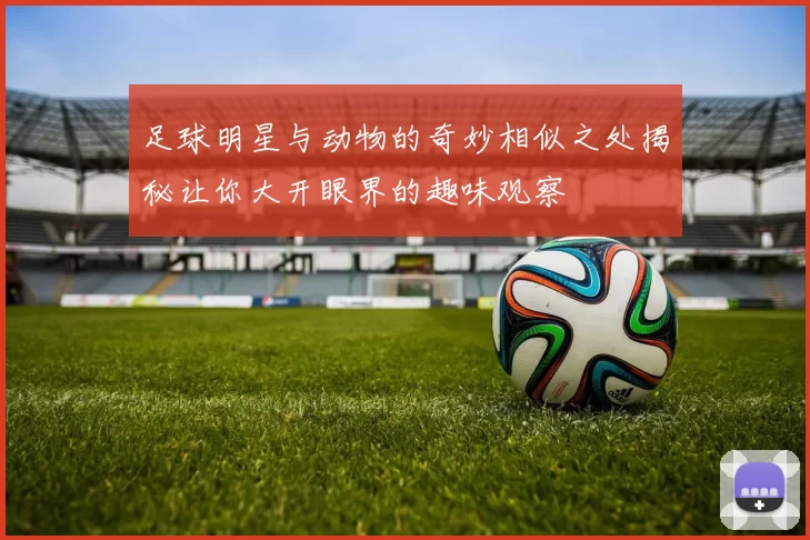 足球明星与动物的奇妙相似之处揭秘让你大开眼界的趣味观察