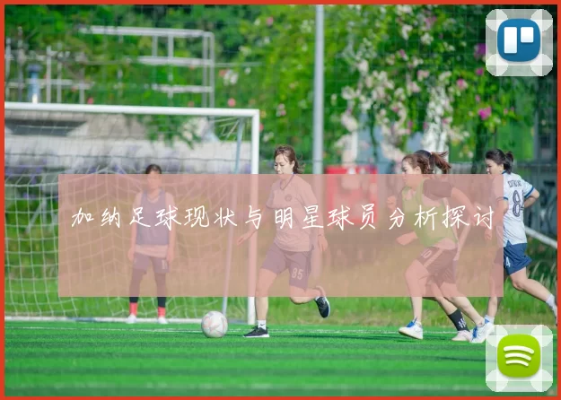 加纳足球现状与明星球员分析探讨