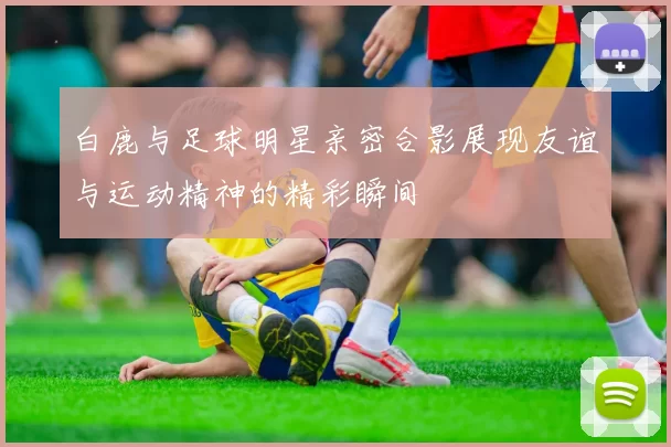 白鹿与足球明星亲密合影展现友谊与运动精神的精彩瞬间
