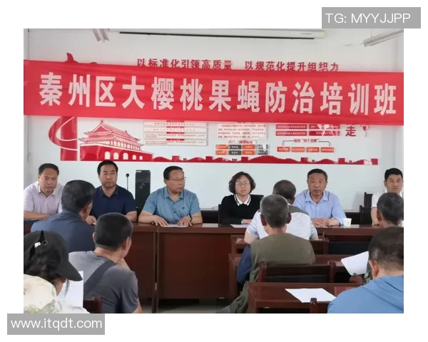 羽毛球新手必看：从基础到进阶的全面实力提升指南