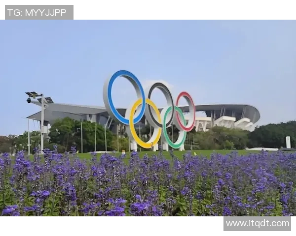 广州排球队耐力问题引发热议球迷与专家各执己见探讨真相